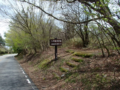 九州自然歩道中盤.JPG
