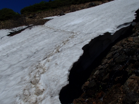 砂防新道_雪渓.JPG