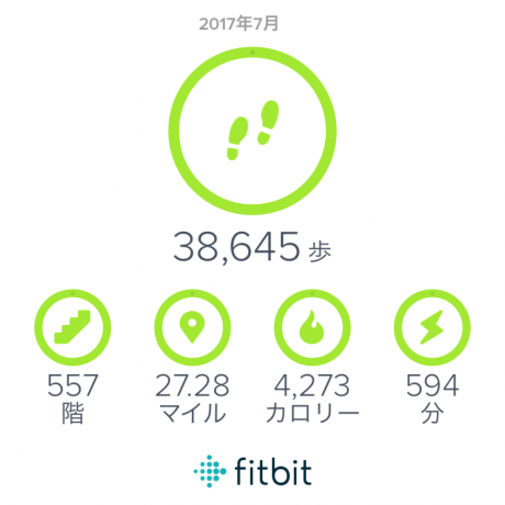 白山1日目_fitbit.png