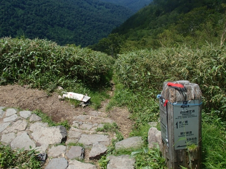 別当坂分岐.JPG