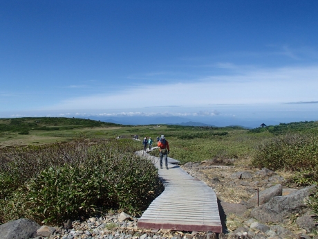 弥陀ヶ原(下山).JPG