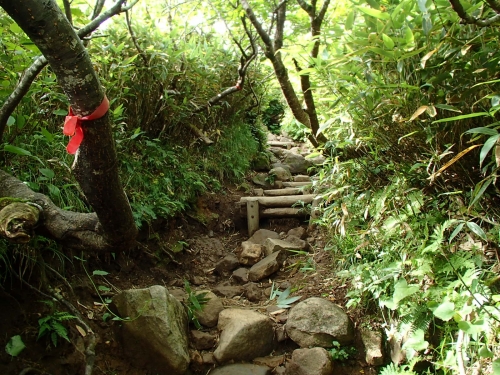 山頂への急登.JPG