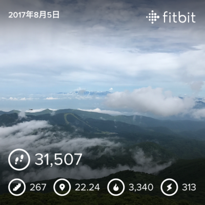 磐梯山fitbitデータ