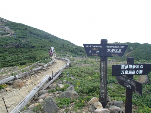 分岐点.JPG