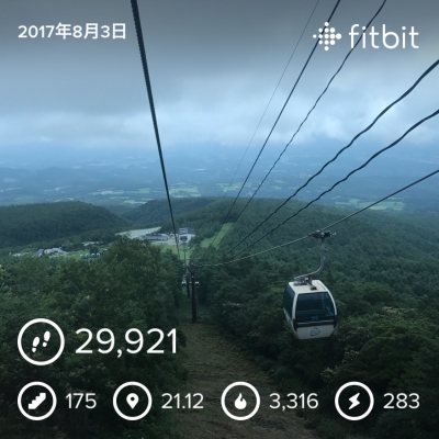 安達太良山fitbitデータ