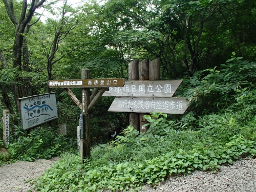 あだたら渓谷自然遊歩道(夏山).JPG