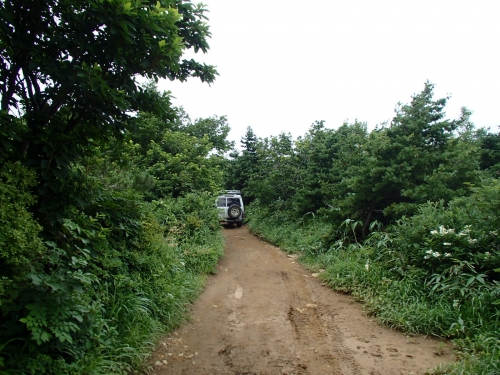 車が通行.JPG