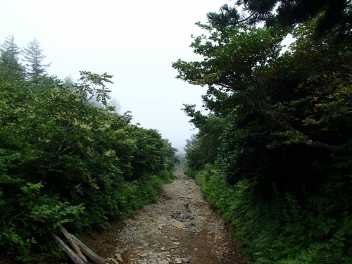 勢至平周辺(夏山).JPG