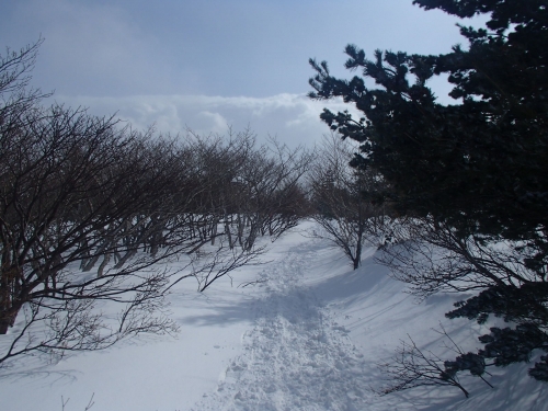 勢至平周辺(冬山).JPG