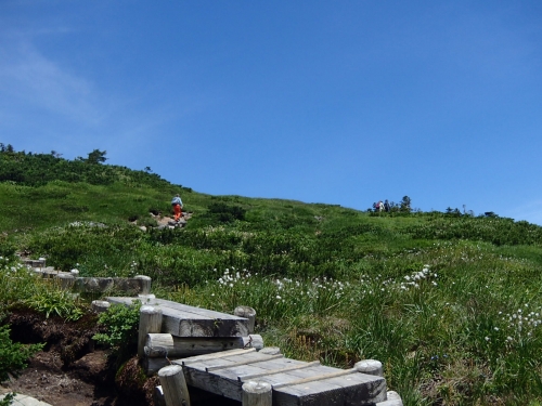 大凹(お花畑).JPG