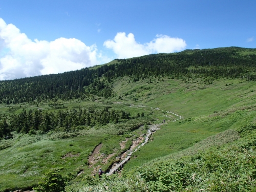 大凹(木道).JPG