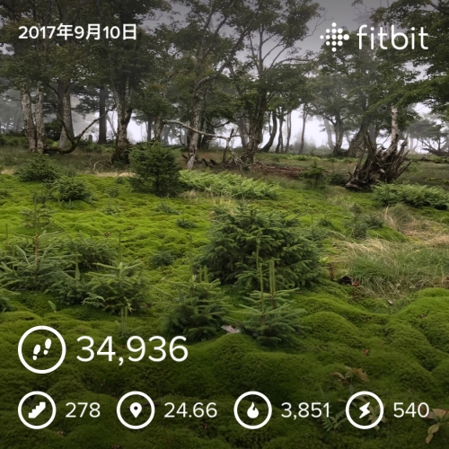 大峰山　fitbit