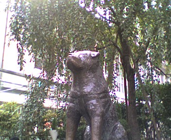 200710251240000.jpg