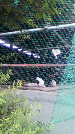 2010060709430001.jpg