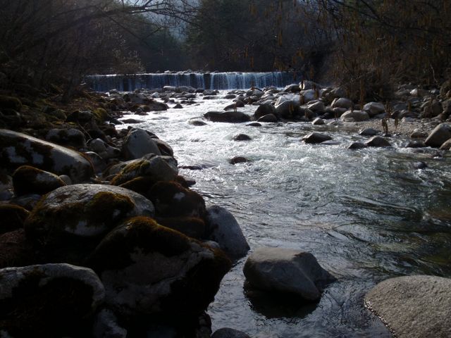 P4100003.jpg