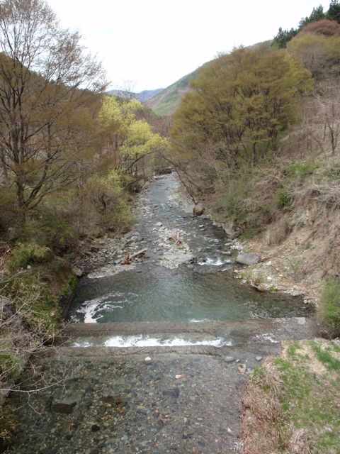 P5070546.jpg