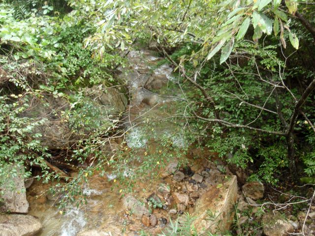 P9300661.jpg