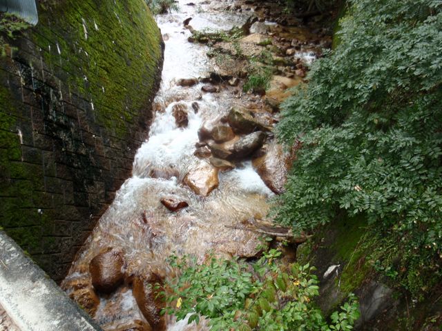 P9300660.jpg