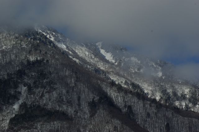 IMGP0873.jpg
