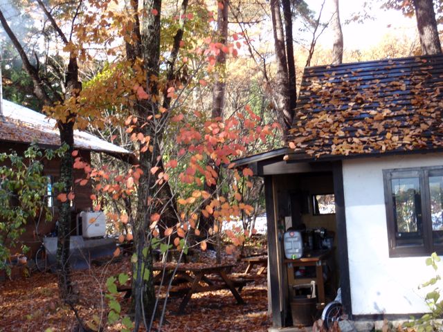 PB160170.jpg