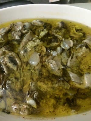 oyster