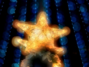 (photo from Aqua's Room)