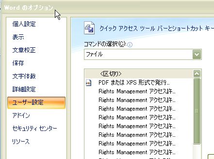 ワードのオプション