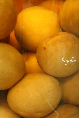 ume3.jpg