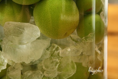 ume5.jpg