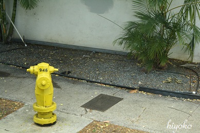 honolulu4.jpg