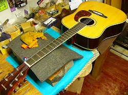 Katayama KD-330 アコースティックギター Katayama KD-330 アコースティックギター Katayama Kd-330