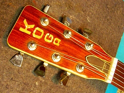 koga guitar