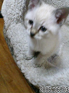 20060603_178594.jpg