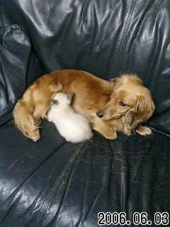 20060603_178636.jpg