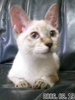 20061105_241781.jpg
