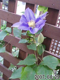 20070429_304697.jpg