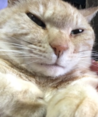 Attachment-1.jpeg