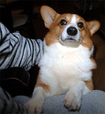coo2