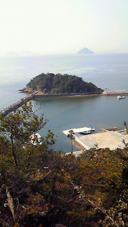 201012281105000.jpg