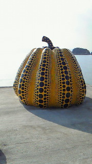 201012281158000.jpg