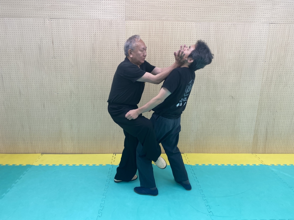 DVD付 詠春拳 実戦絶技 拳法 武術 古武道 空手 護身術 気功 DVD付 詠春拳 実戦絶技 拳法 武術 古武道 空手 護身術 気功
