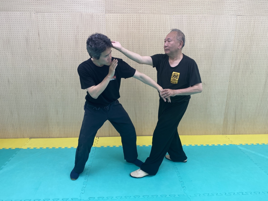 【貴重】正伝　実戦八卦掌　佐藤金兵衛　中国　武術　拳法　格闘技　レア　プレミア 希少になる 貴重】正伝 実戦八卦掌 佐藤金兵衛 中国 武術 拳法