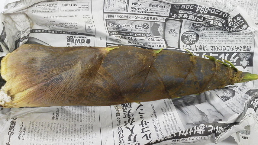 2012042520280000.jpg
