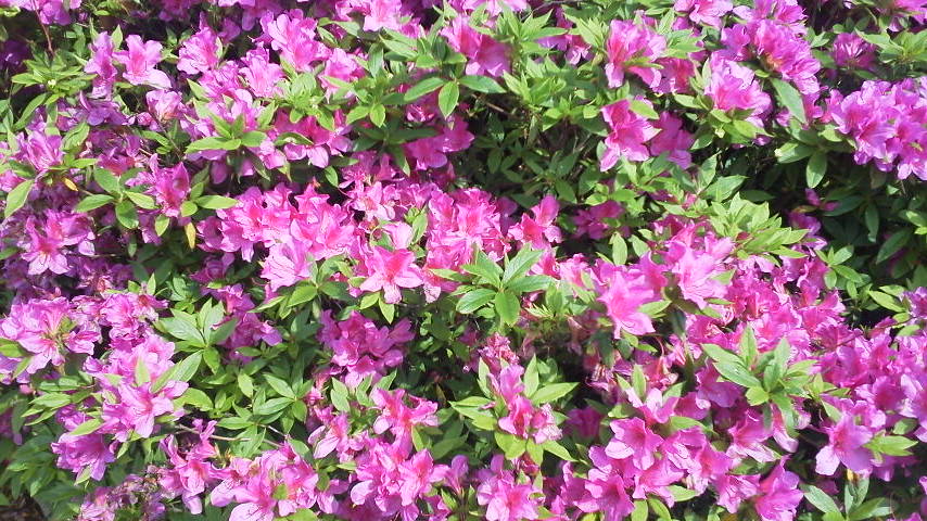 2012050415080001.jpg