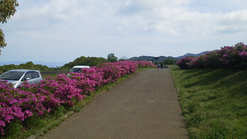 2012050415080000.jpg