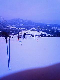 NEC_0058.jpg