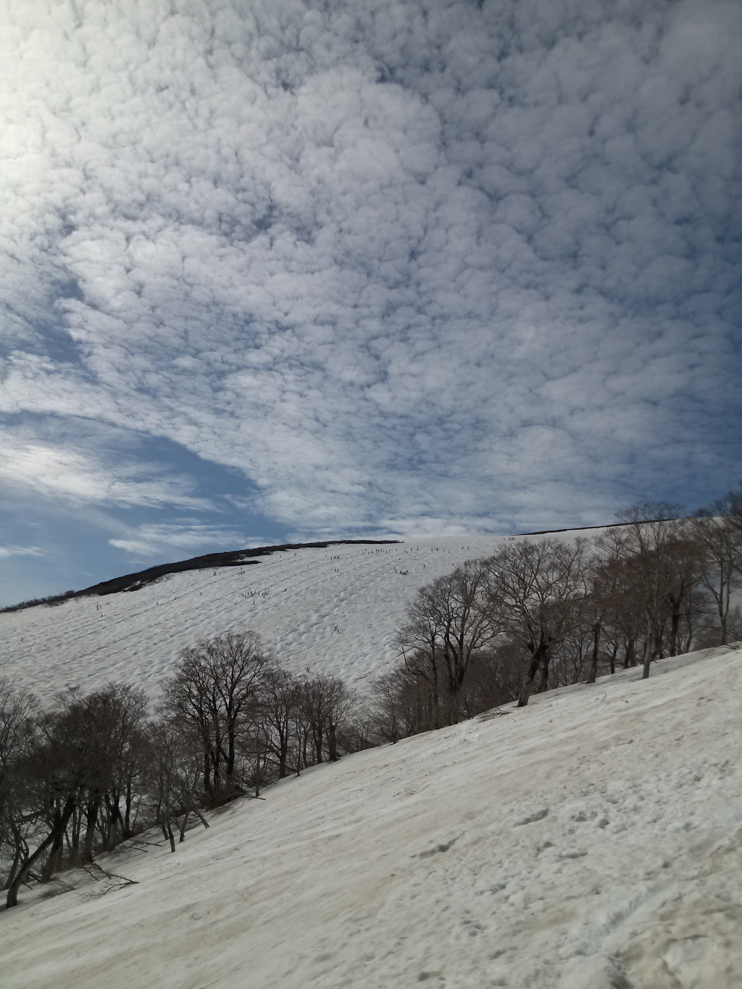 IMG00068.jpg