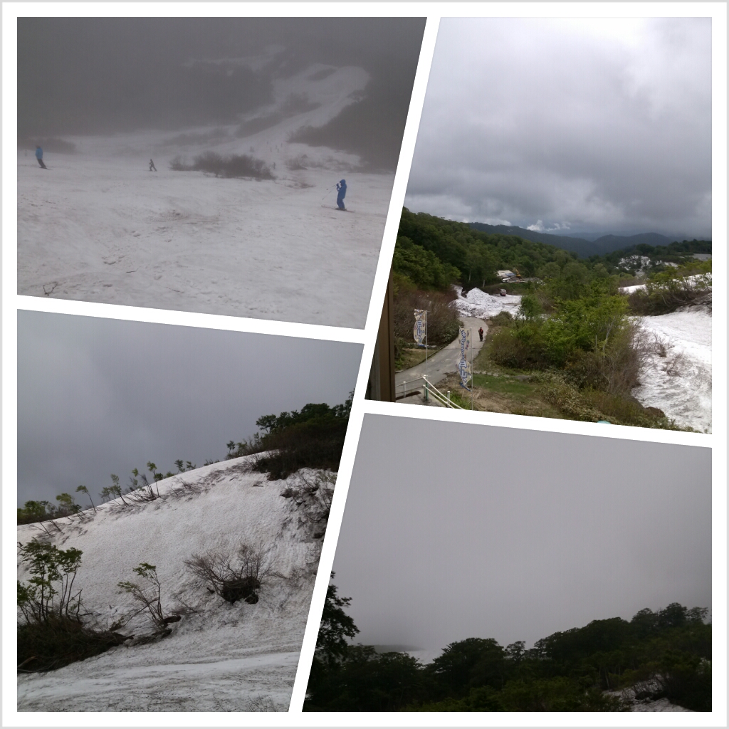 PhotoGrid_1371875586252.jpg