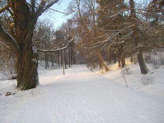 通学路