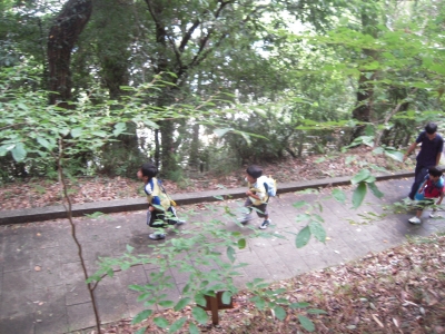 山登り